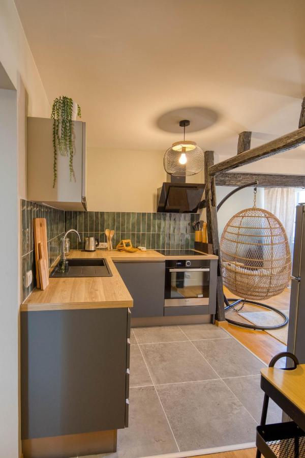 Appartement Le Verdoyant Hyper Centre Avec Sauna Et Parking コルマール エクステリア 写真