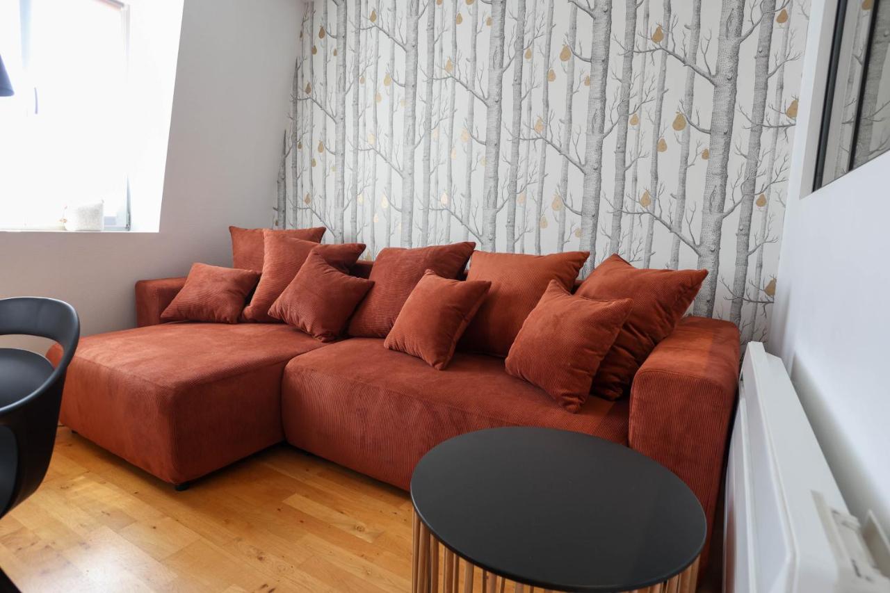 Appartement Le Verdoyant Hyper Centre Avec Sauna Et Parking コルマール エクステリア 写真