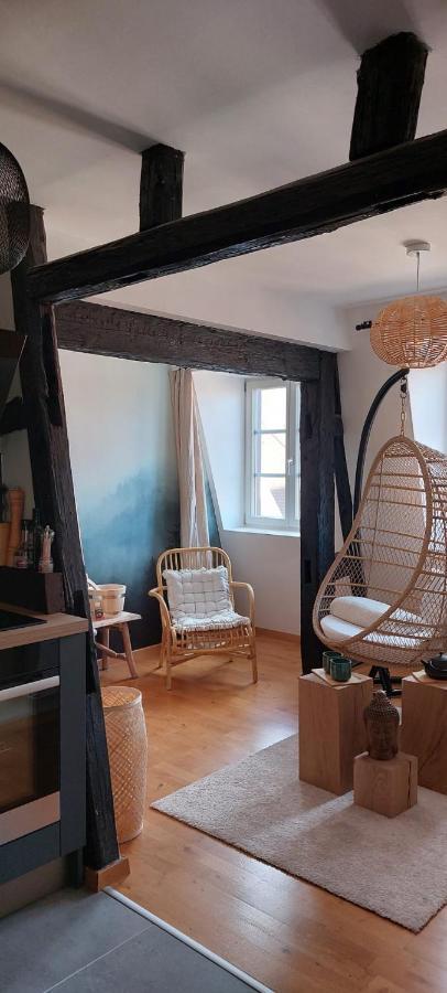 Appartement Le Verdoyant Hyper Centre Avec Sauna Et Parking コルマール エクステリア 写真